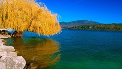 Landscapes nature Trees water lakes reflections skylines