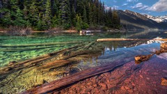 Landscapes nature Trees water lakes rivers forests