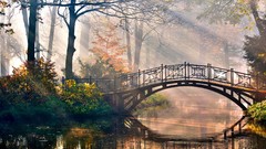 Landscapes nature Trees water morning Bridges sunlight rivers 