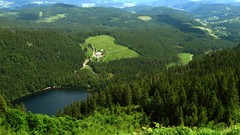 Landscapes nature Trees water Mountains Green lakes forests