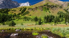 Landscapes nature Trees water Mountains skylines