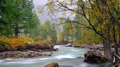 Landscapes nature Trees water outdoors