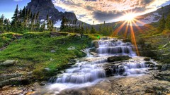 Landscapes nature Trees water outdoors