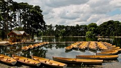 Landscapes nature Trees water Paris France Park Boats lakes 