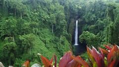 Landscapes nature Trees water red white Green lagoon Garden 