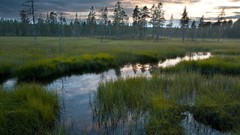 Landscapes nature Trees water rivers
