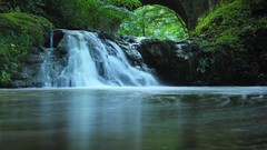 Landscapes nature Trees water Scotland arch waterfalls grove 