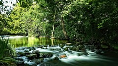 Landscapes nature Trees water sign Green Plants