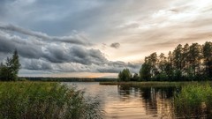 Landscapes nature Trees water sky natural scenery