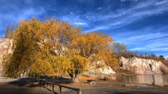 Landscapes nature Trees water skyscapes