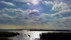 Landscapes nature Trees water sun clouds rivers forests 