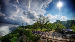Landscapes nature Trees water sun clouds white Green Park 