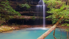Landscapes nature Trees water trunks Green Plants lagoon 