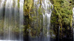 Landscapes nature Trees water waterfalls