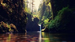 Landscapes nature Trees water waterfalls forests