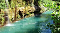 Landscapes nature Trees water white Green moss waterfalls 
