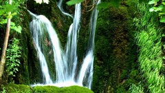 Landscapes nature Trees waterfalls