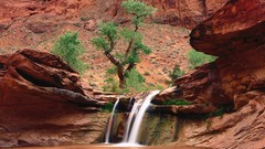 Landscapes nature Trees waterfalls