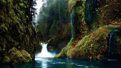 Landscapes nature Trees waterfalls