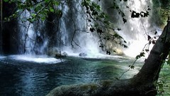 Landscapes nature Trees waterfalls