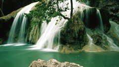 Landscapes nature Trees waterfalls