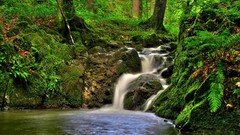 Landscapes nature Trees waterfalls