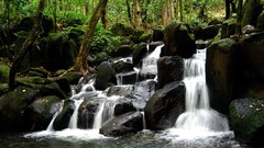 Landscapes nature Trees waterfalls