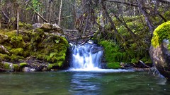 Landscapes nature Trees waterfalls