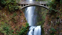 Landscapes nature Trees waterfalls Bridges