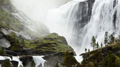 Landscapes nature Trees waterfalls forests