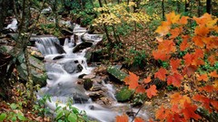 Landscapes nature Trees waterfalls forests