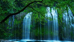Landscapes nature Trees waterfalls forests