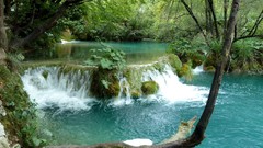 Landscapes nature Trees waterfalls forests