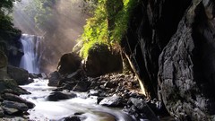 Landscapes nature Trees waterfalls rocks rivers