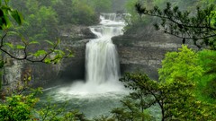 Landscapes nature Trees waterfalls USA rivers forests alabama