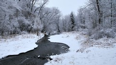 Landscapes nature Trees winter HDR Photography