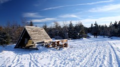 Landscapes nature Trees winter HDR Photography