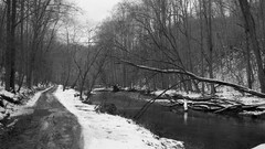 Landscapes nature Trees winter HDR Photography