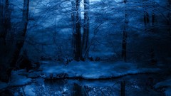 Landscapes nature Trees winter HDR Photography