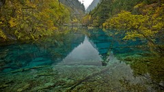 Landscapes nature Trees yellow blue hills Green Canada British 