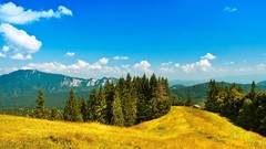 Landscapes nature Trees yellow blue Mountains sky