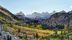 Landscapes nature Trees yellow gray Mountains autumn white 
