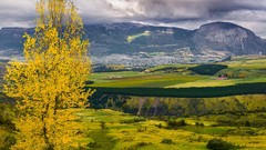 Landscapes nature Trees yellow gray Mountains clouds Green 