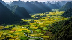 Landscapes nature Trees yellow hills Green rice fields 