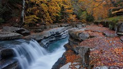 Landscapes nature Trees yellow water blue autumn Green 