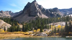 Landscapes nature Trees yellow water Mountains Green Utah lakes 