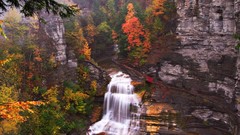 Landscapes nature Trees yellow water red autumn white Green 