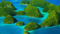 Landscapes nature tropical