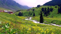 Landscapes nature Turkey rivers Rize Ayder