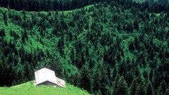 Landscapes nature Turkey Rize